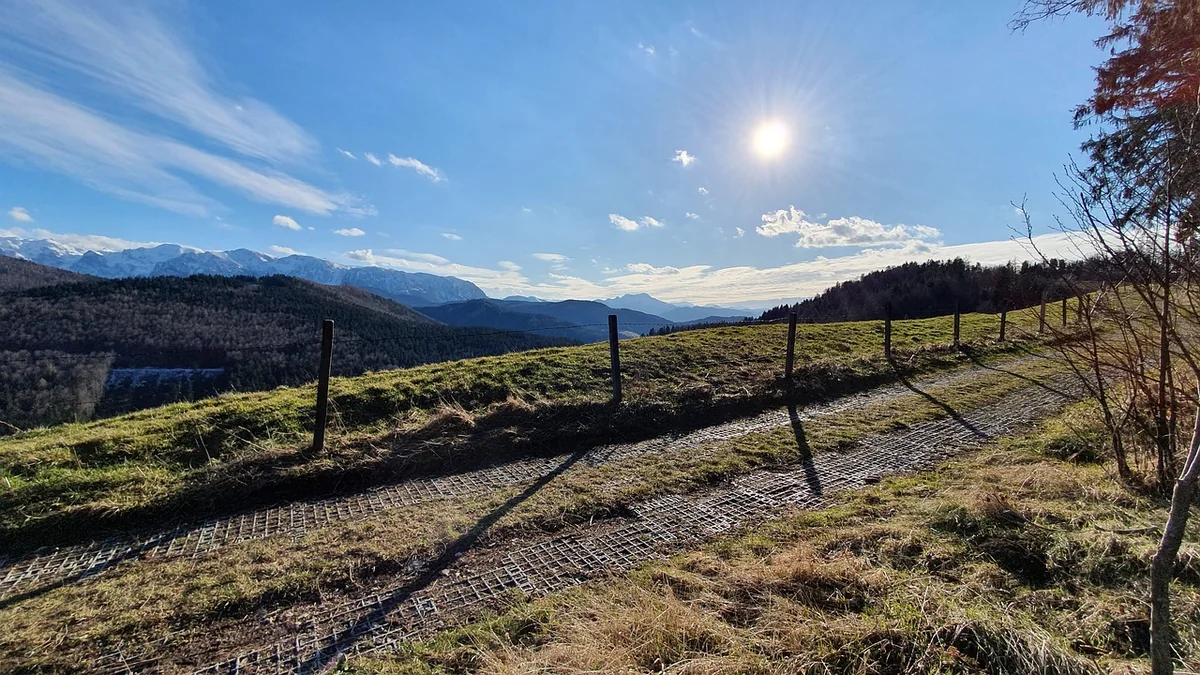 Fazit: Vom Kostenfaktor zum Werttreiber