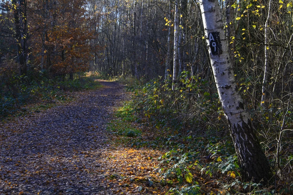 Die Säulen eines wirklich barrierefreien Notrufsystems