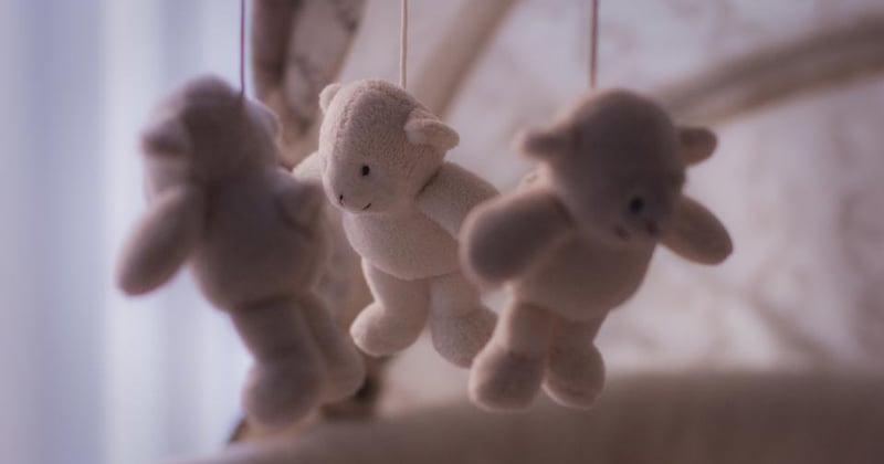 Die besten Kuscheltiere für Babys im Jahr 2026: Tipps für Eltern